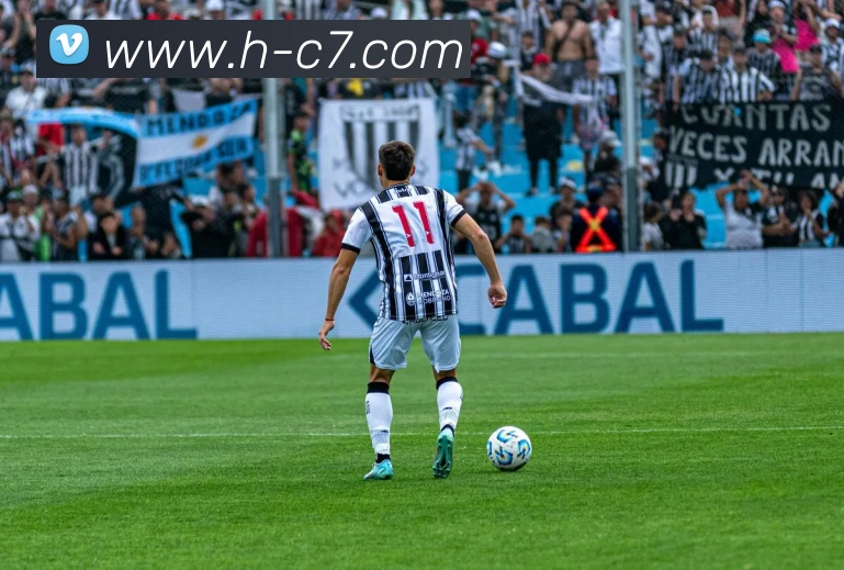 c7娱乐平台生态图